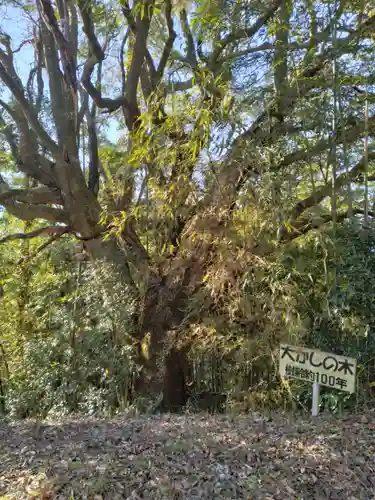 愛宕神社（渕ノ上）(宮城県)