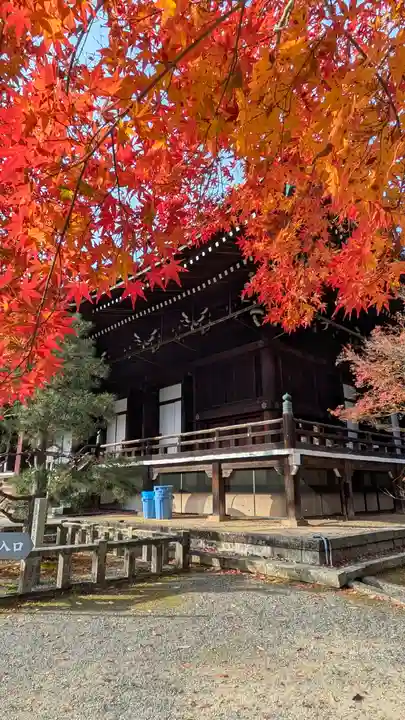 光明寺(粟生光明寺)(京都府)