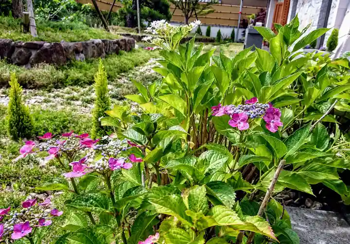 寿量山 速成寺の自然