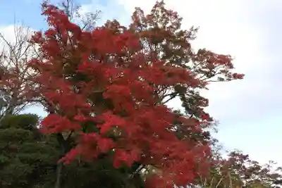 善峯寺(京都府)