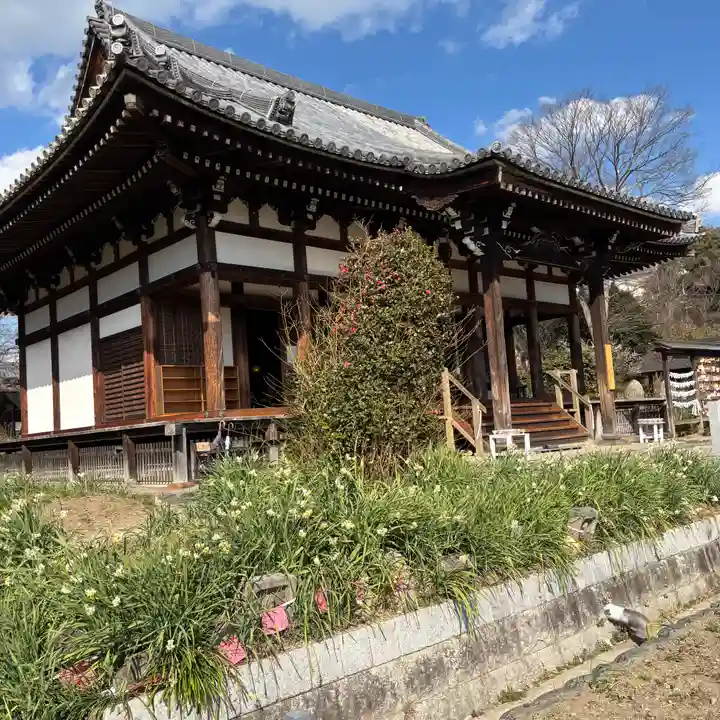 般若寺 ❁コスモス寺❁(奈良県)