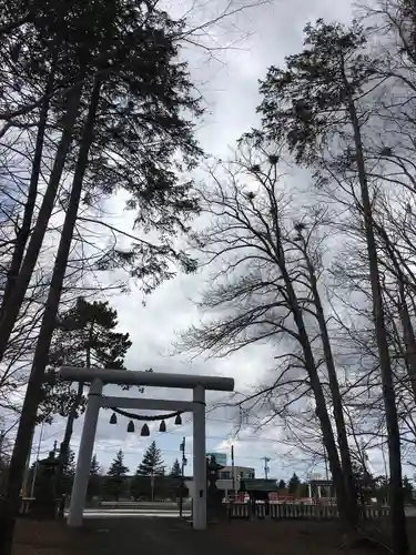 長沼神社の鳥居