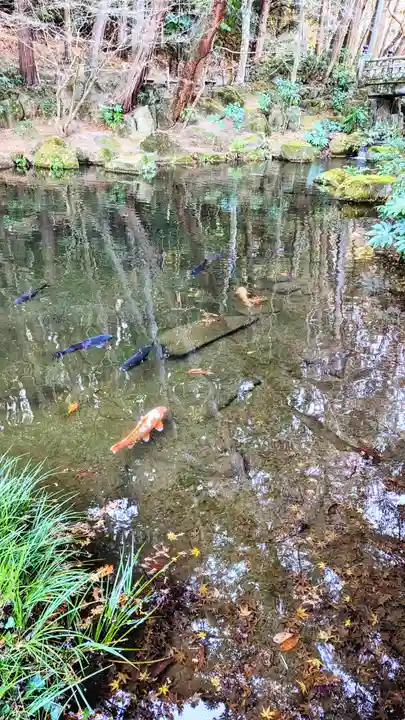 成田山新勝寺の動物