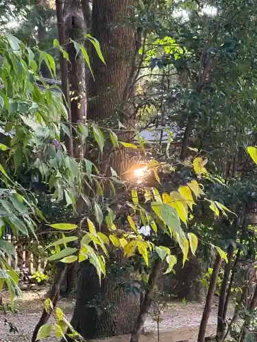 鹿島神宮(茨城県)