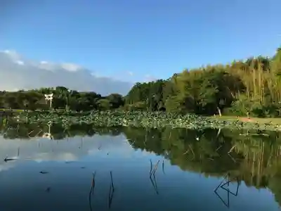 牟禮山観音禅寺の周辺