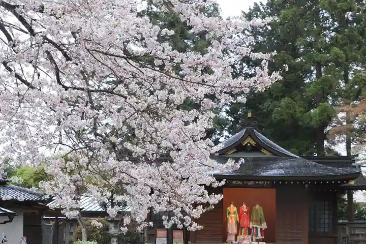 高麗神社の{uncategorized: "未分類", other: "その他", undefined: "問題あり", building: "その他建物", grave: "お墓", sacred_gate: "鳥居", guardian: "狛犬", statue: "像", buddha: "仏像", history: "歴史", nature: "自然", garden: "庭園", animal: "動物", pagoda: "塔", temizu: "手水舎", mountain_gate: "山門・神門", sanctuary: "本殿・本堂", subordinate: "末社・摂社", art: "芸術", scenery: "景色", jizo: "地蔵", ema: "絵馬", goshuin: "御朱印", omikuji: "おみくじ", items: "授与品その他", amulet: "お守り", goshuincho: "御朱印帳", eats: "食事", festival: "お祭り", votive_dance: "神楽", shichigosan: "七五三参", wedding: "結婚式", experience: "体験その他", initially: "初詣", around: "周辺", anti_infection: "感染症対策"}