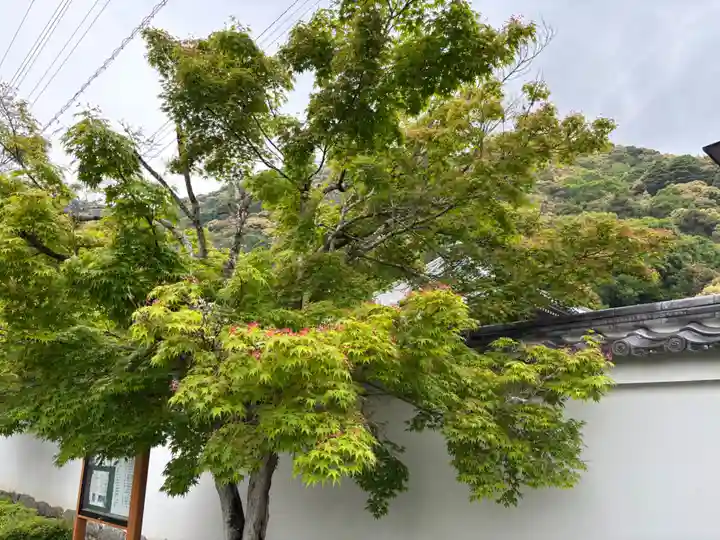 永興寺(山口県)