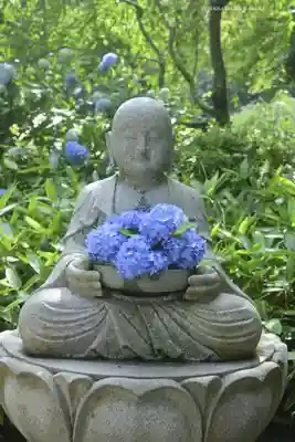 明月院(神奈川県)