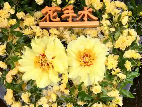 真言宗　善通寺派　薬王寺(香川県)