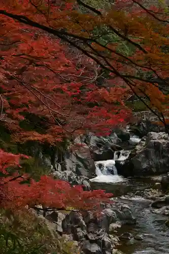 大瀧神社(滋賀県)