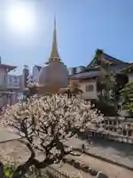 福王山 慈眼寺(東京都)