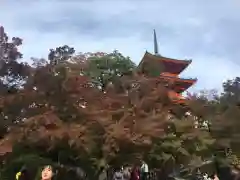 清水寺の塔