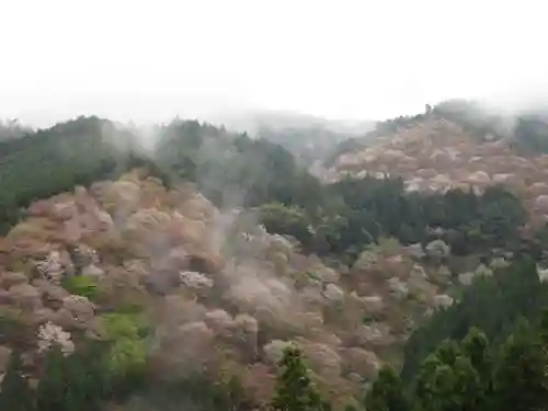 吉水神社の景色