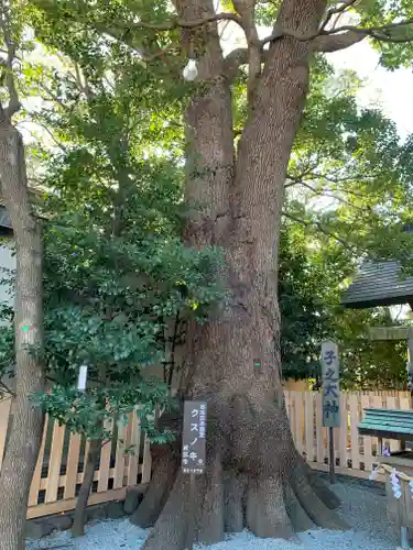 伊勢山皇大神宮の自然