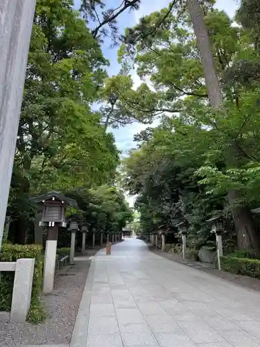寒川神社(神奈川県)