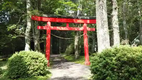 胎内神社の鳥居