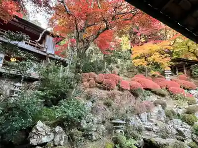 柳谷観音　楊谷寺(京都府)