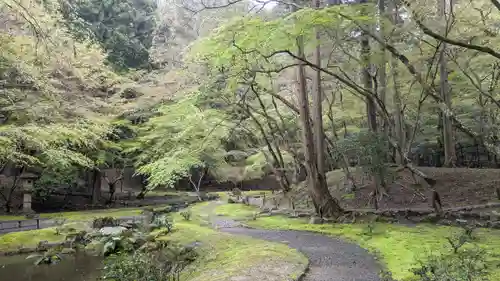 醍醐寺(京都府)