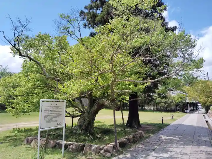 屋島寺の自然
