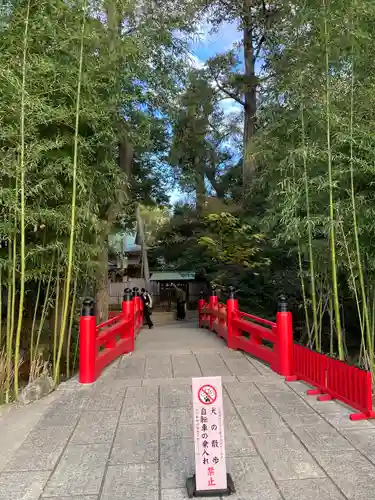 武蔵一宮氷川神社(埼玉県)