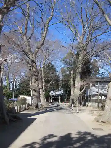 八坂神社(茨城県)