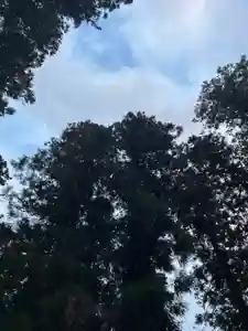 大宮温泉神社の自然(2023年12月24日(日) 18時34分55秒投稿)