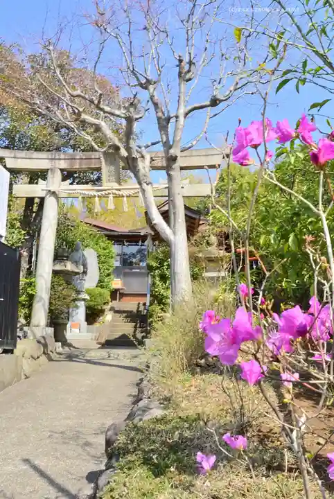 横浜御嶽神社の鳥居