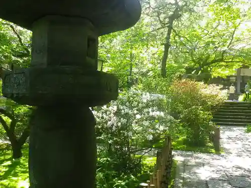 安國論寺（安国論寺）の庭園