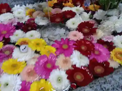 札幌諏訪神社(北海道)