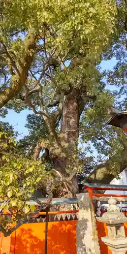 龍田神社(奈良県)