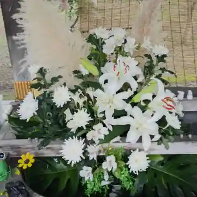 彌彦神社　(伊夜日子神社)の手水舎