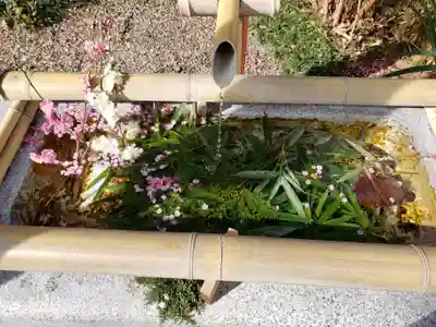 猿田彦神社の手水舎