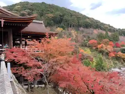 清水寺(京都府)