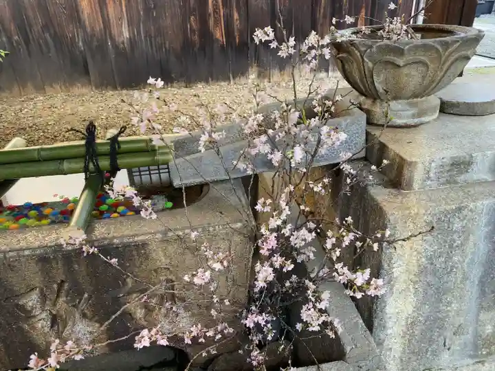 行願寺(革堂)(京都府)