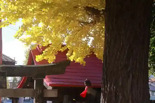 晴門田神社の景色