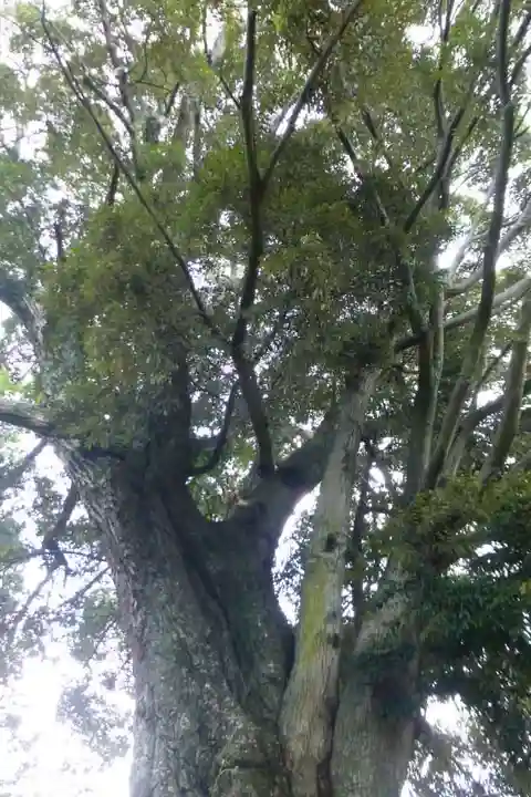 水分神社(山口県)