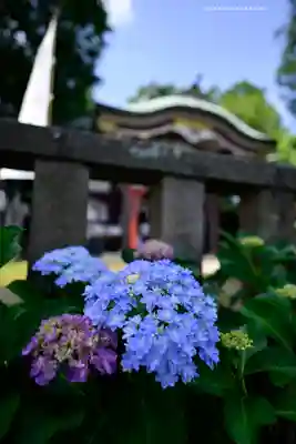 川越八幡宮(埼玉県)