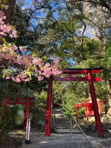 伊古奈比咩命神社の鳥居