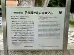 伊弉諾神宮(兵庫県)