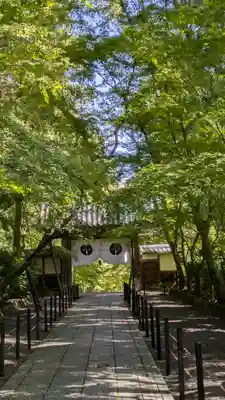 光明寺（粟生光明寺）(京都府)
