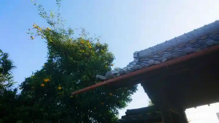 菩提寺のその他建物