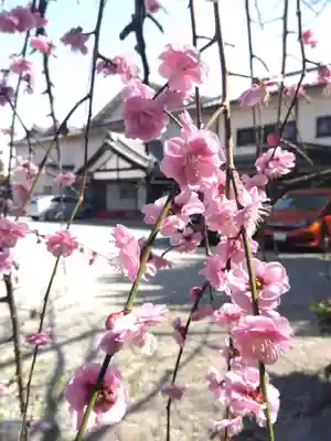 八雲神社(三重県)