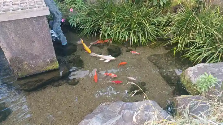 厳嶋神社(東京都)