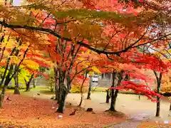 土津神社｜こどもと出世の神さまの自然