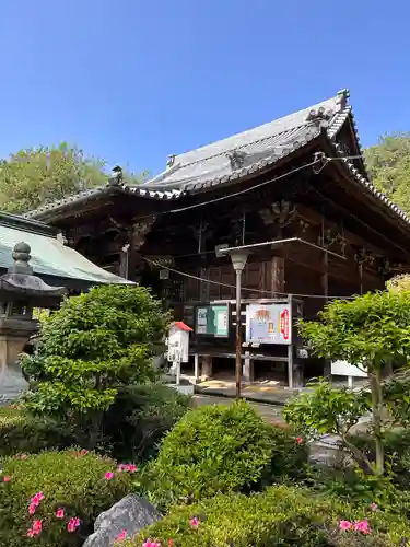 白峯寺の本殿・本堂