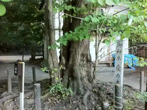 梨木神社のその他建物