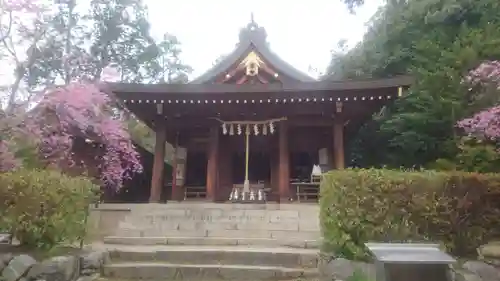 飛鳥坐神社の本殿