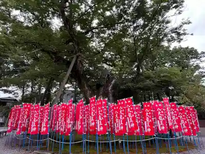 秩父今宮神社(埼玉県)
