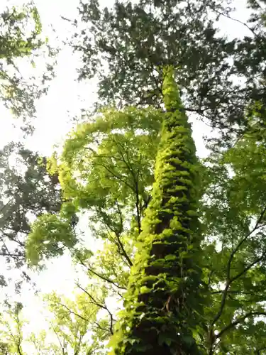 氣比神宮の自然