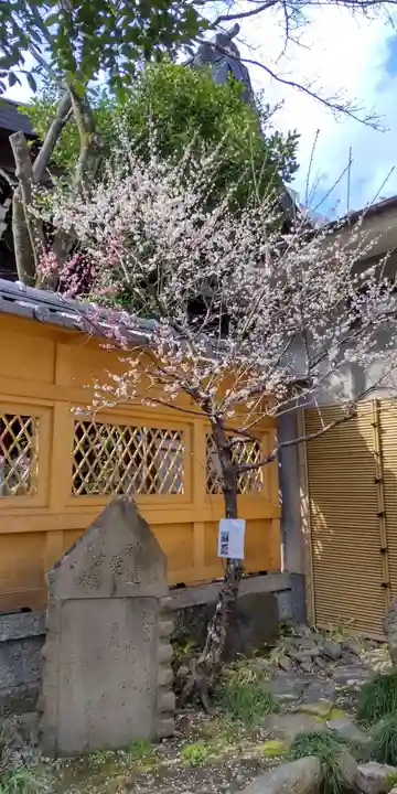 菅原院天満宮神社(京都府)